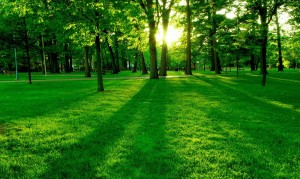 為什么喝奶粉會(huì)導(dǎo)致便秘？