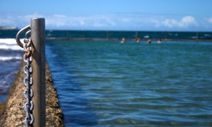 進口奶粉十強品牌中，哪一款最適合中國寶寶？