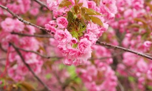 現在什么嬰兒奶粉好？如何選擇最適合寶寶的奶粉？