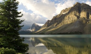 孕婦奶粉能空腹喝嗎？——關于孕婦奶粉飲用的全面解析