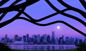 駱駝奶粉專賣店：駱駝奶粉真的比牛奶粉更有營養嗎？