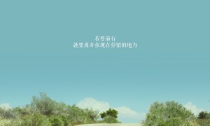 深圳西鄉鹽田夜市街十大美食 深圳西鄉鹽田夜市街必吃的小吃