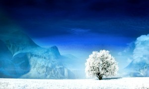 煙酰胺凝膠十大品牌排行榜_煙酰胺凝膠品牌排名_煙酰胺凝膠品牌排行榜