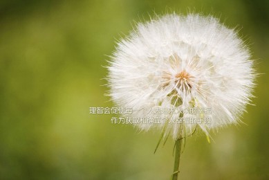 炫彩鏡十大品牌榜-2025炫彩鏡品牌排行榜