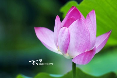 HARTMANN.保赫曼品牌_保赫曼牌子口碑_HARTMANN實力檔次排名