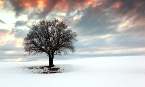 嬰兒奶粉成人能喝嗎？對(duì)成年人健康的影響及選擇建議