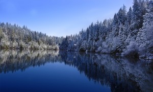 2025年品牌熔斷器排行榜10強