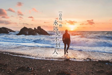 狗濕糧十大品牌榜-2025狗濕糧品牌排行榜