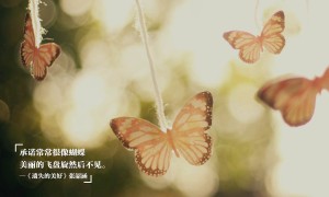 十大最恐怖遠古昆蟲：食鳥蛛，它是龐然大物