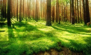 世界十大漫畫家_世界漫畫大師排名_世界著名漫畫家有哪些