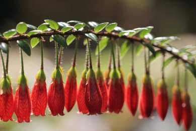 偈傾一百三十三首-古詩-賞析_釋法薰的詩 - 