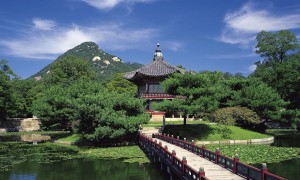 新生兒第二天喝多少奶粉？新手父母必須了解的關鍵信息