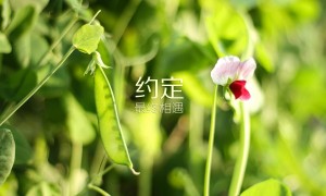 2025年嘉善縣祥符實驗室招聘啟事