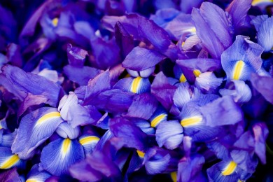 50元左右什么煙最好抽_50元左右香煙排行榜前十名