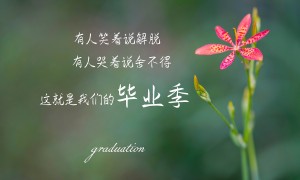 2025-2030年中國小型攝像機行業(yè)重點企業(yè)發(fā)展分析及投資前景可行性評估報告告