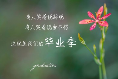 哪幾個松餅品牌好？品牌松餅推薦