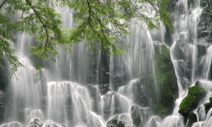 嬰兒羊奶粉品牌排行榜10強中，哪一款最適合我的寶寶？