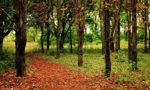 如何正確沖泡奶粉？有哪些常見(jiàn)的誤區(qū)和注意事項(xiàng)？