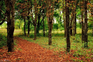 供應(yīng)鏈實(shí)訓(xùn)心得總結(jié)范文（17篇）