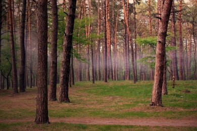 跨境電商平臺十大排行榜-海外代購平臺哪個好