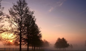 學(xué)生羊奶粉是否比普通牛奶粉更適合學(xué)生群體？