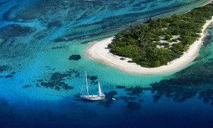 伊利有機奶粉是否真的更健康？