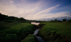 怎么看奶粉好不好？如何選擇適合寶寶的優質奶粉？