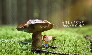 泰爾茂血糖儀哪個型號好？泰爾茂血糖儀熱賣產(chǎn)品推薦