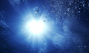 2025年裝載機十大品牌排行榜