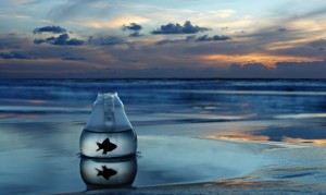 千手綱手-《火影忍者》漫畫角色