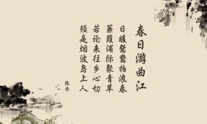 2025-2030年中國折疊膜墨盒行業(yè)市場(chǎng)深度研究及發(fā)展前景投資可行性分析報(bào)告
