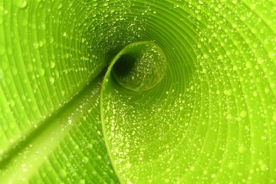 十大免費mp3音樂網(wǎng)站_mp3歌曲下載網(wǎng)站哪個好_MP3音樂網(wǎng)站大全