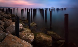 用奶粉買全脂還是脫脂？哪一個更適合你？