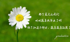 美冠:查爾斯頓電池vs印地十一賽前分析