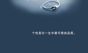 LEBOSH.雷玻視品牌_雷玻視牌子口碑_LEBOSH實(shí)力檔次排名