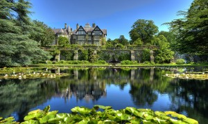 貝因美奶粉事件：真相究竟如何？