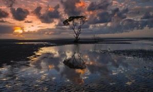 維他型豆奶粉是否真的比普通豆奶粉更有營養(yǎng)？