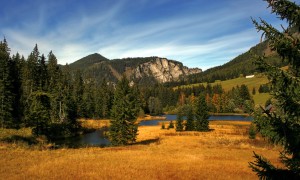 寶寶多久喝一次奶粉？科學喂養的黃金法則