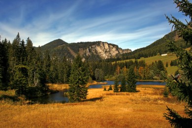 SKIPHOP媽咪包好用嗎？容量大嗎？