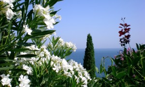 六個月的寶寶一天應(yīng)該喝多少毫升奶粉？