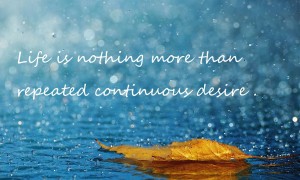 壽光金嘉利散熱器有限公司品牌介紹