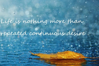 女士沐浴露什么牌子好？推薦幾款？