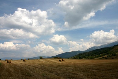九州仙劍傳上古神兵如何獲取？神兵玩法攻略