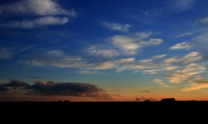 三鹿奶粉是什么？——揭開(kāi)嬰幼兒奶粉背后的真相