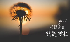 世界十大最有趣的景點：巴厘島上榜，美國大峽谷居第一