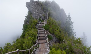 伊利中老年無糖奶粉真的適合中老年人嗎？