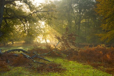 抗震支架十大品牌（抗震支架品牌大全）
