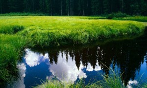 2025年傳感器十大品牌排行榜-傳感器什么牌子好