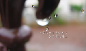 哪款手機(jī)卡的月租最低套餐最劃算？