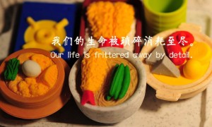 介紹針棒粉碎機粉碎齒輪的齒輪樣式